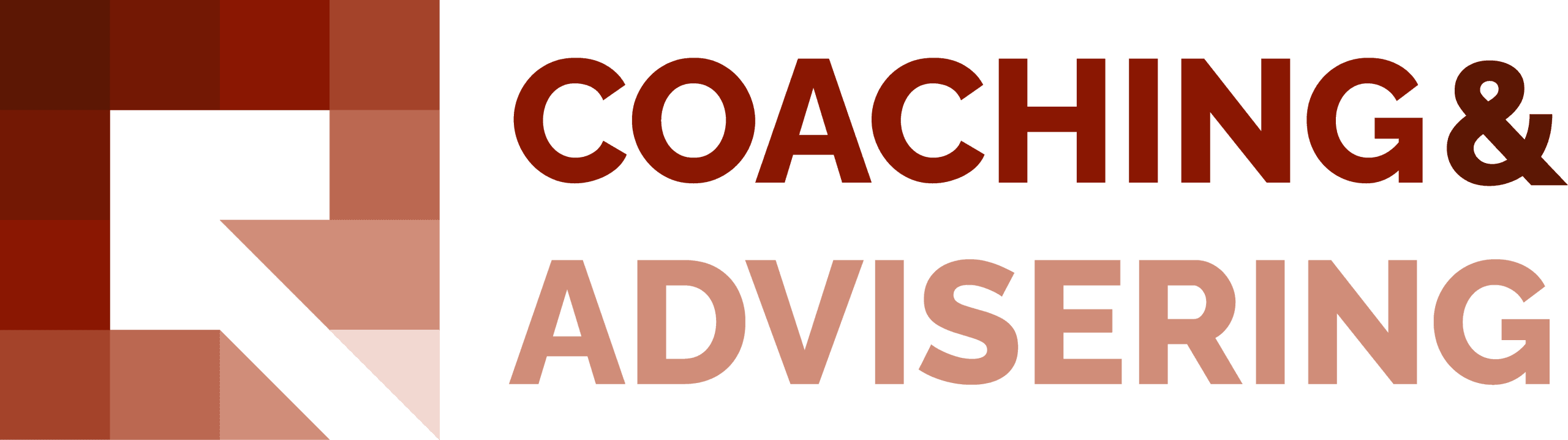 Coaching en Advisering